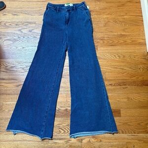 Anthropologie super Soft Blue high waist wide leg pants NWT